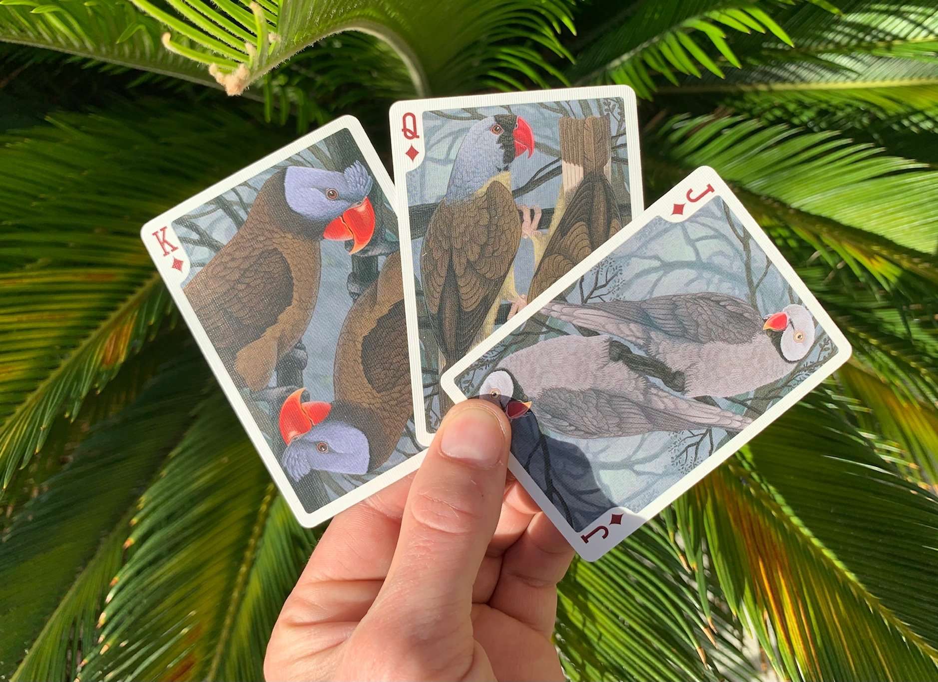 Parrot Extinct Bicycle Playing Cards - Image 5