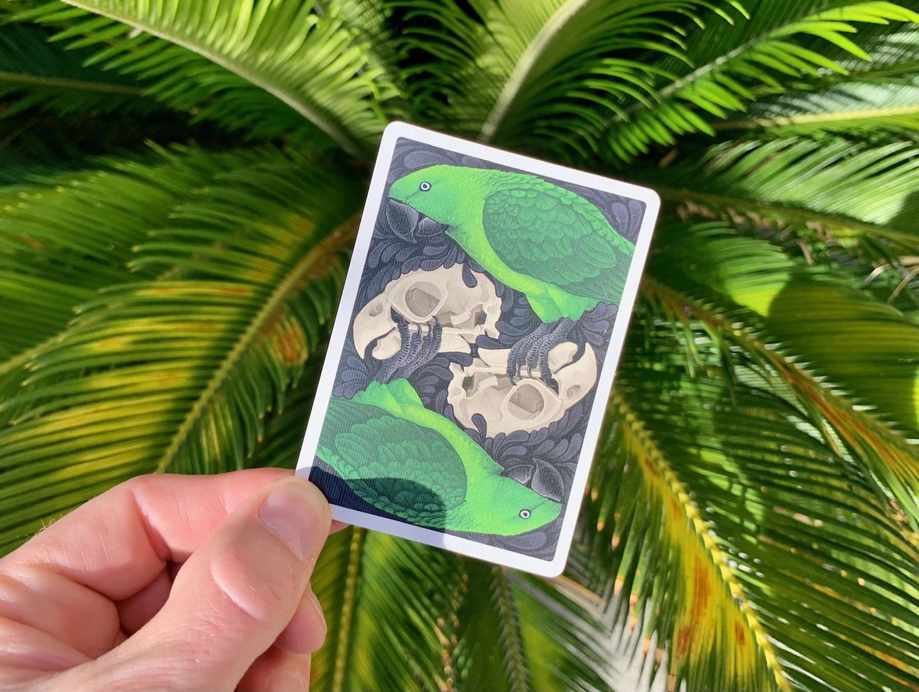 Parrot Extinct Bicycle Playing Cards - Image 7