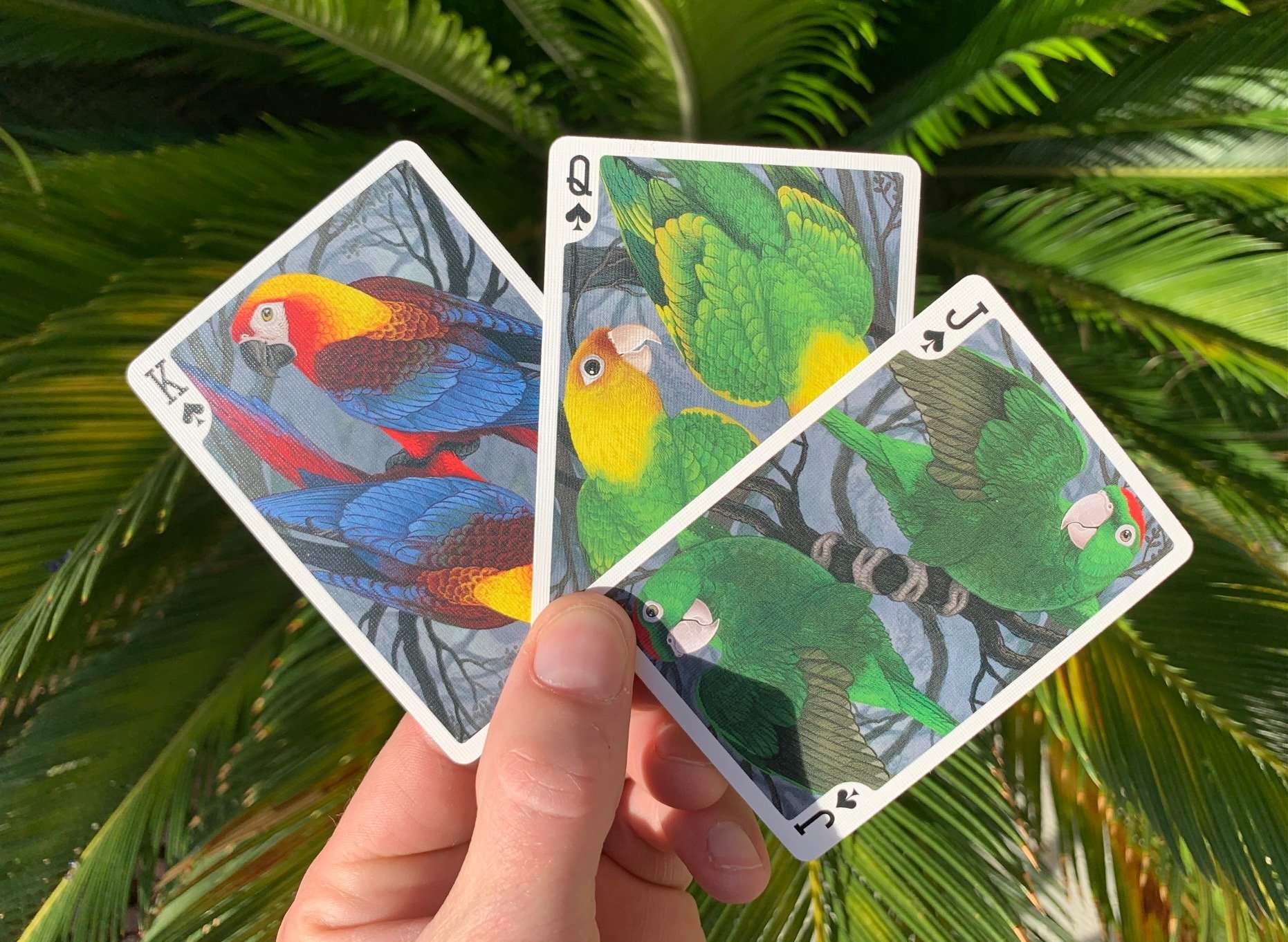 Parrot Extinct Gilded Bicycle Playing Cards - Image 7