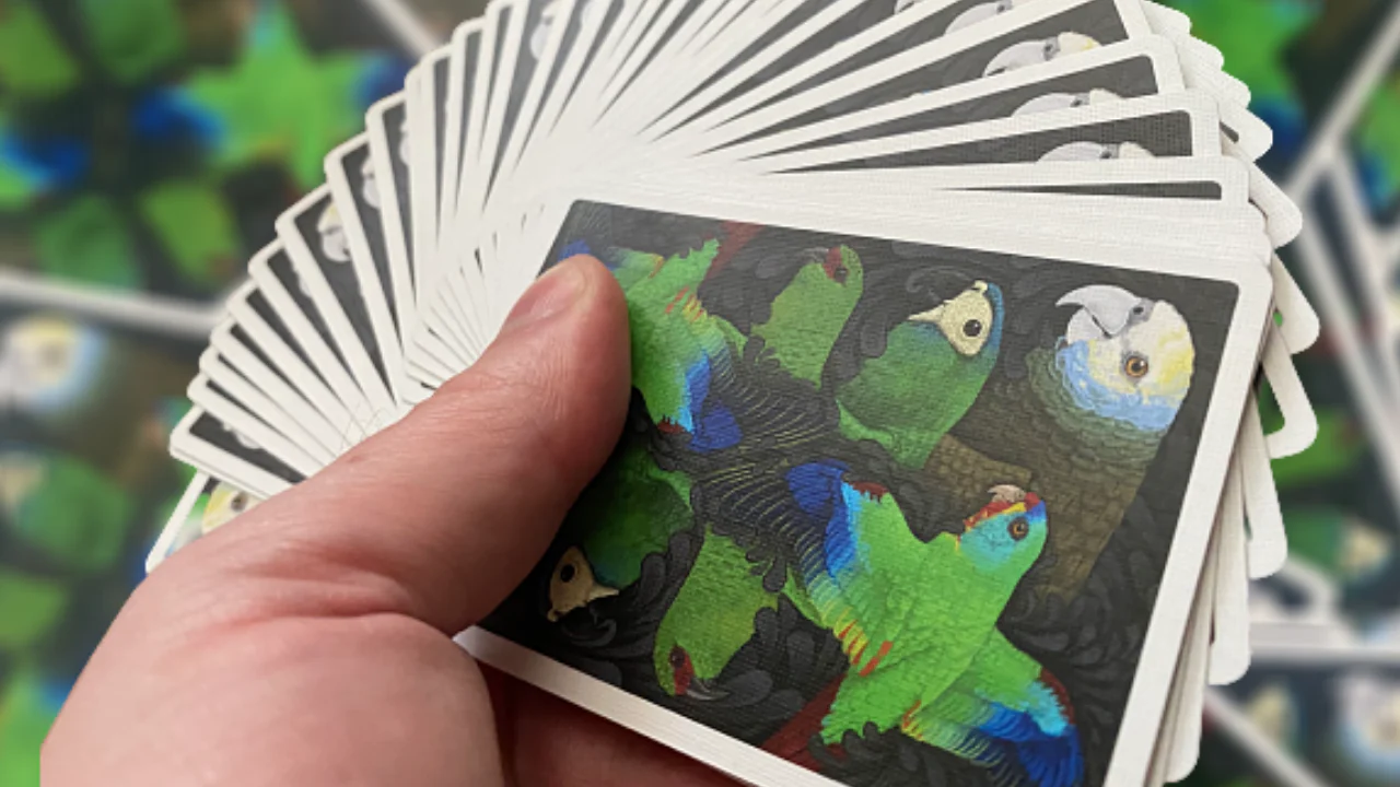 Parrot Prototype Playing Cards MPC - Image 3