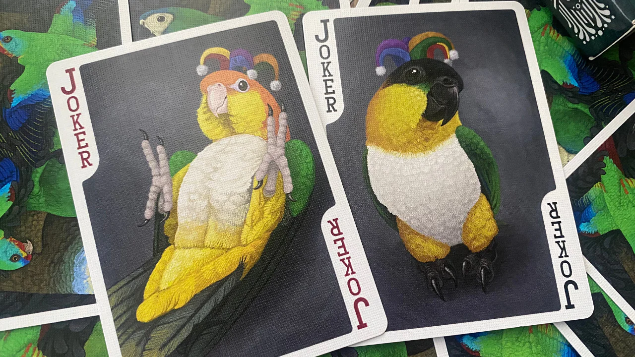 Parrot Prototype Playing Cards MPC - Image 4