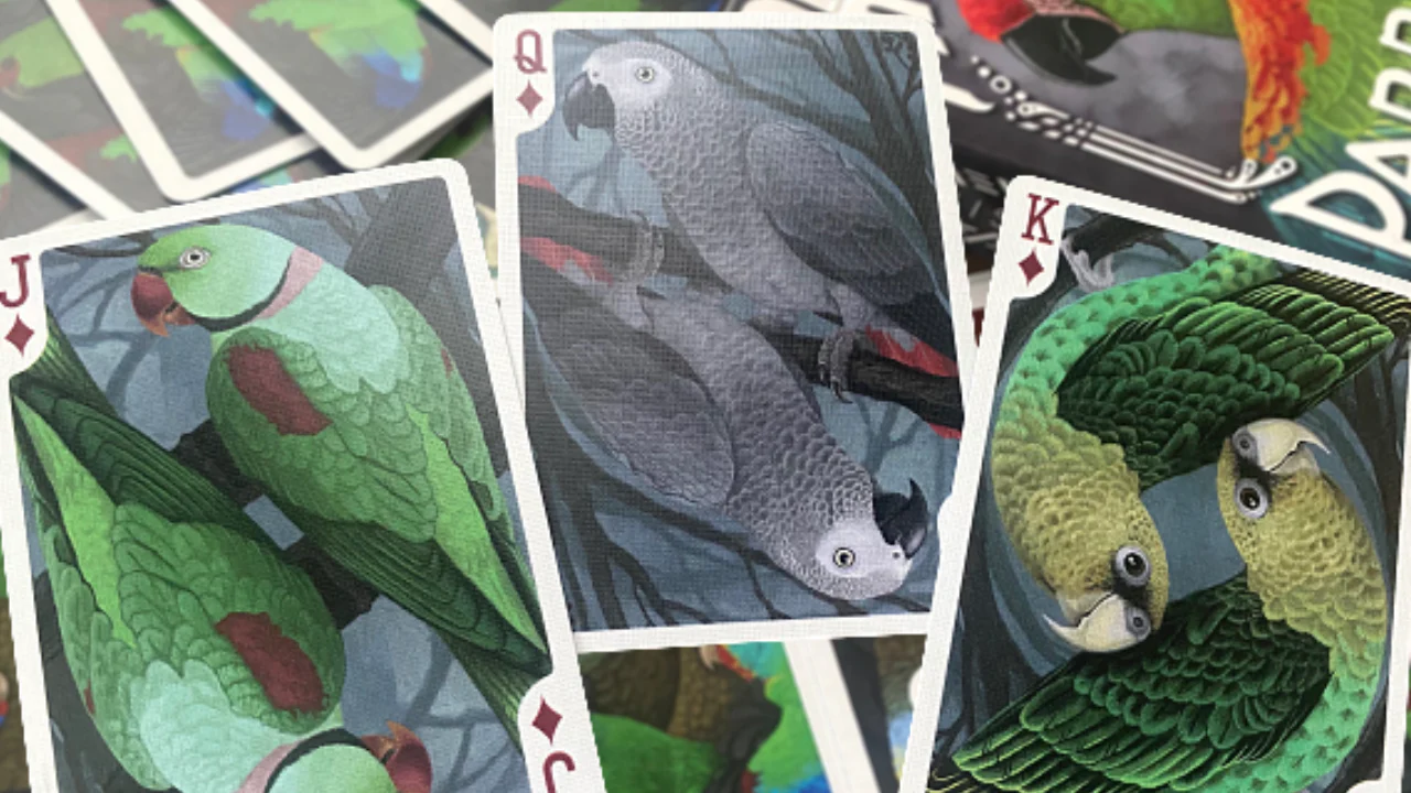 Parrot Prototype Playing Cards MPC - Image 5