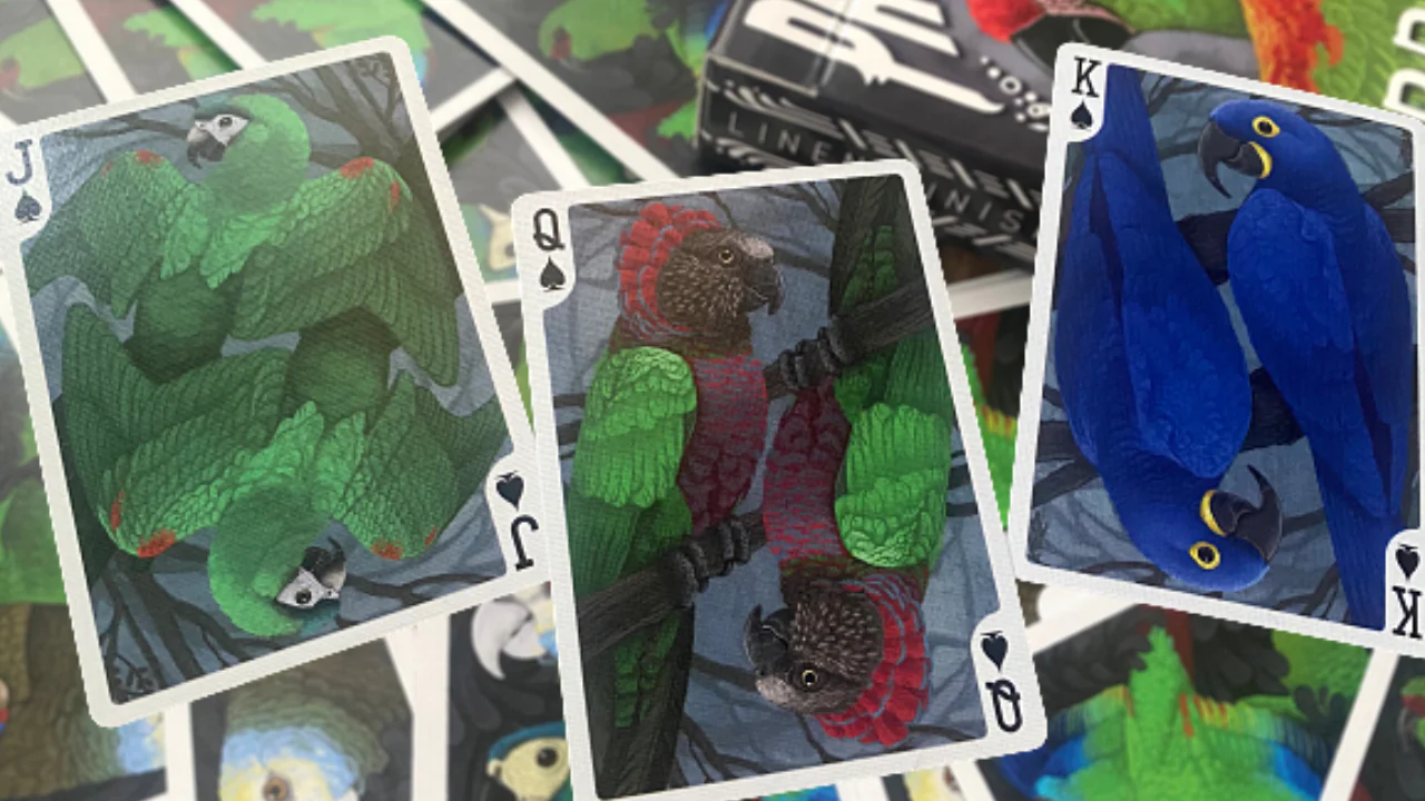 Parrot Prototype Playing Cards MPC - Image 7