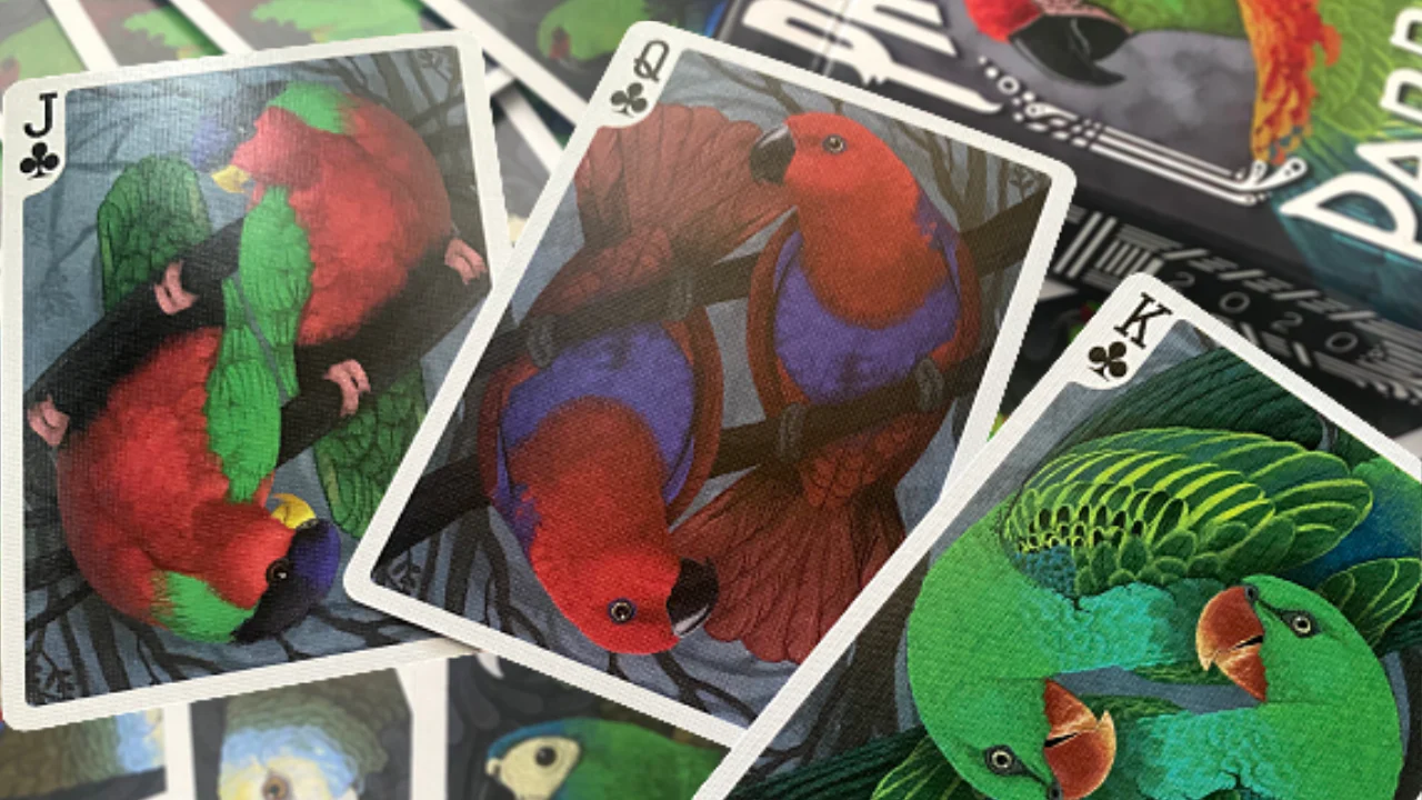 Parrot Prototype Playing Cards MPC - Image 9