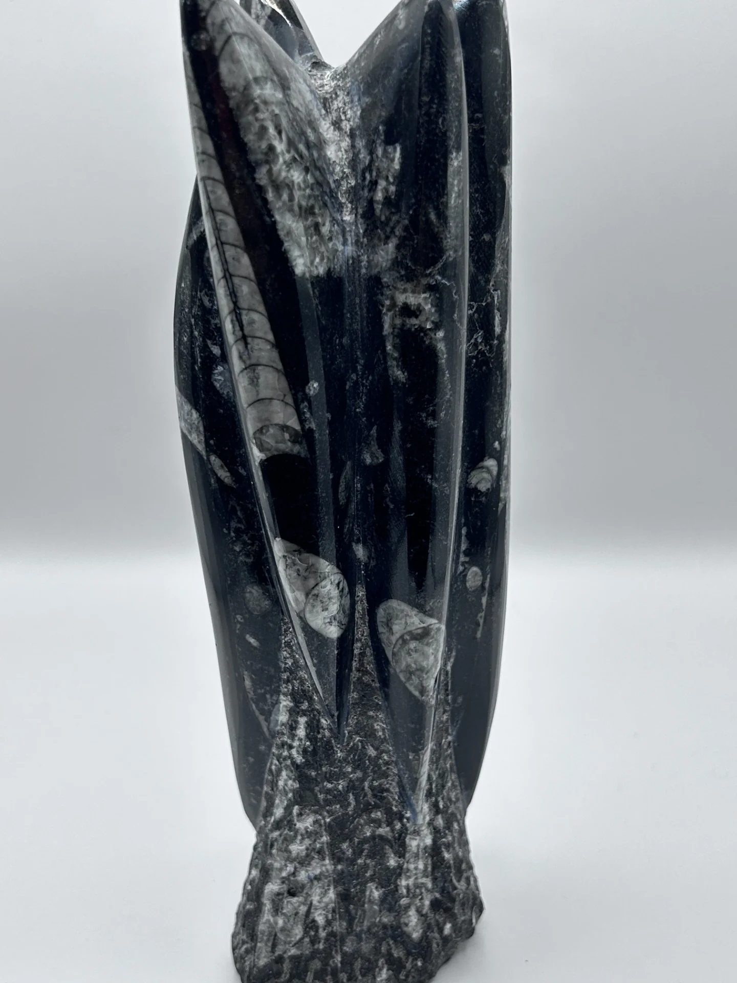 Polished Orthoceras Fossil – 9.5" Sculpture - Image 2