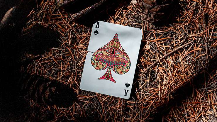 Psychonauts Playing Cards USPCC - Image 4