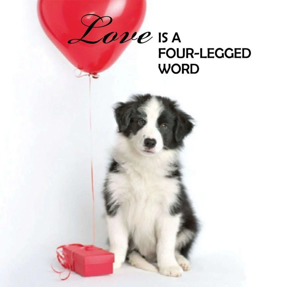 Pup Notes - 60 Notes of Dog Love & Joy - Image 2