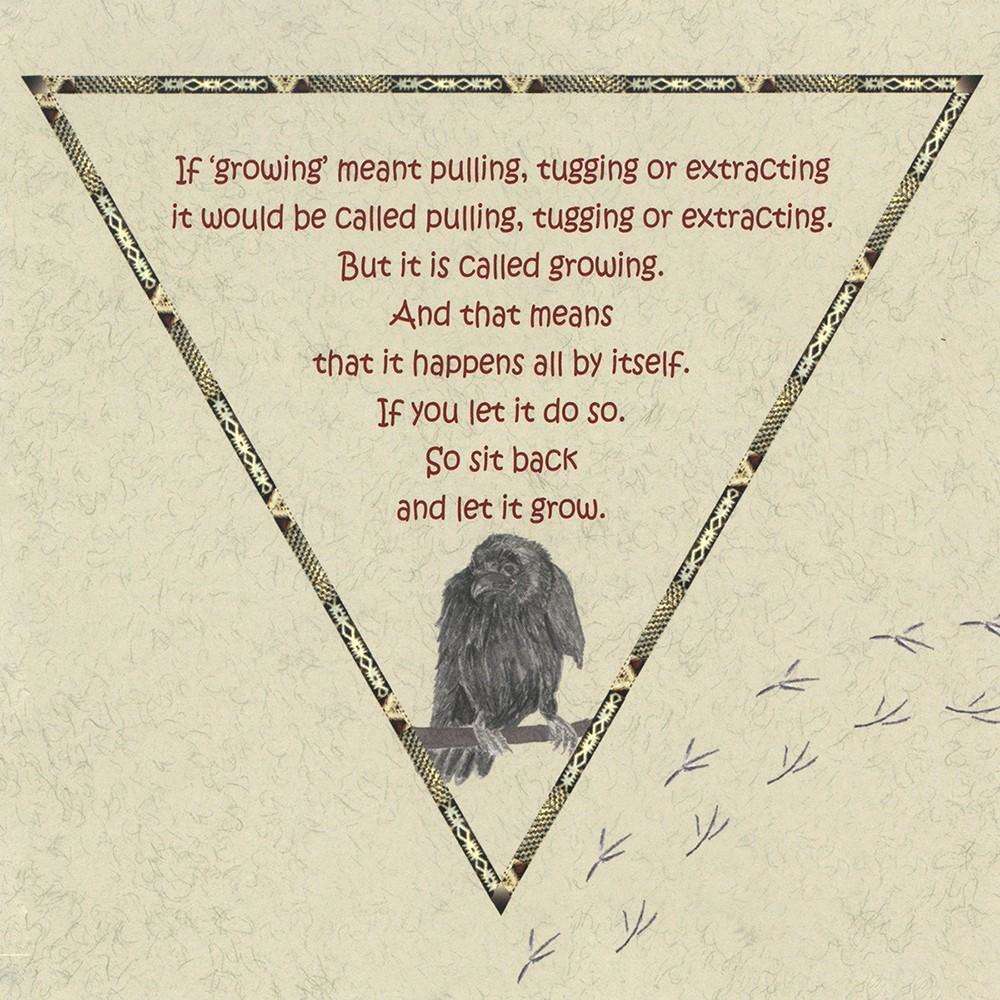 Raven Oracle Cards - Insights to Guide Today's Choices - Image 4