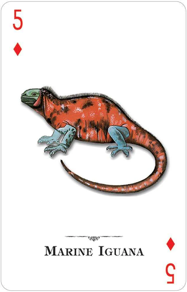 Reptiles & Amphibians of the Natural World Playing Cards USGS - Image 2