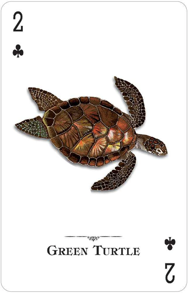 Reptiles & Amphibians of the Natural World Playing Cards USGS - Image 4