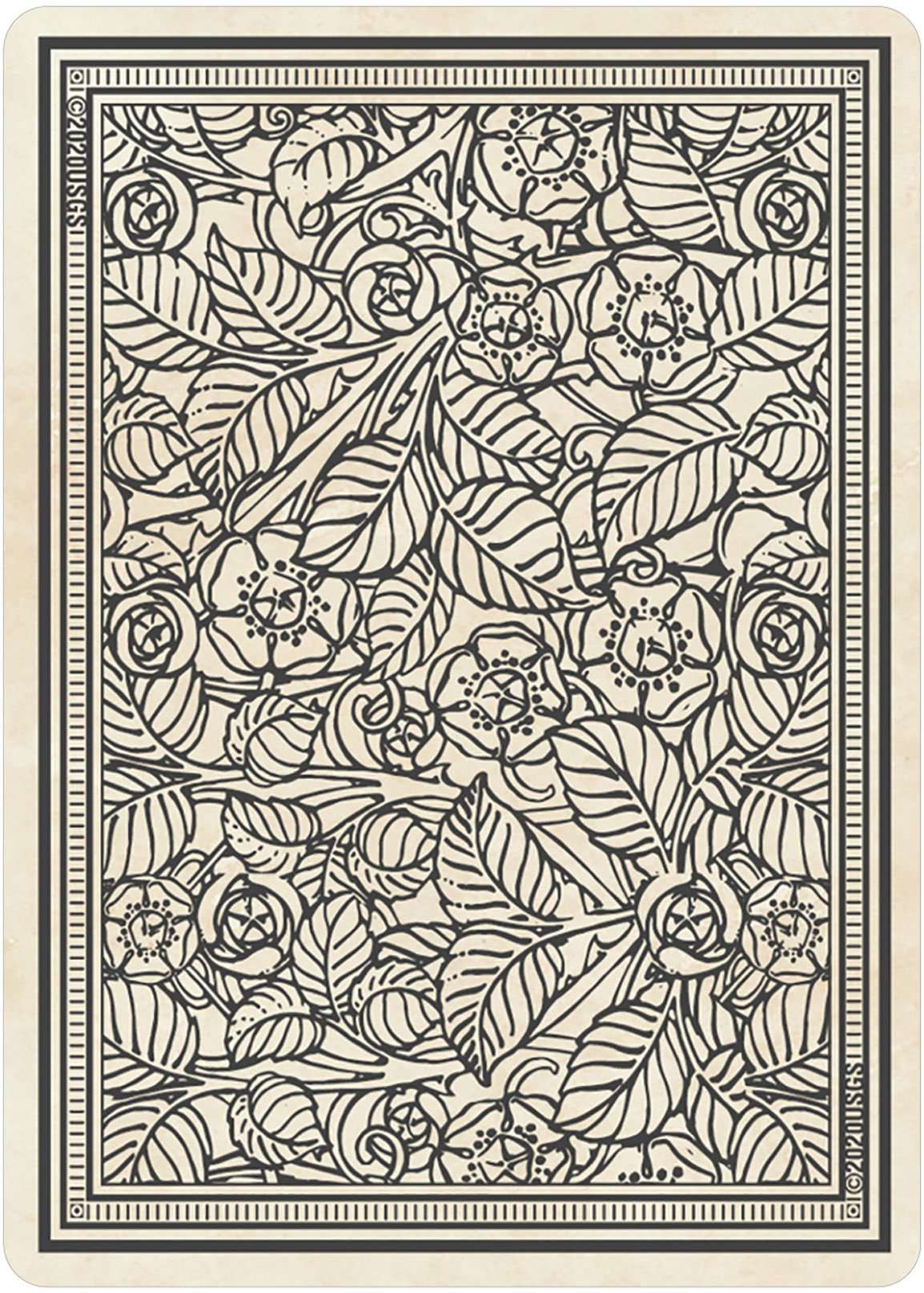 Rider-Waite Playing Card Tarot Deck USGS - Image 2