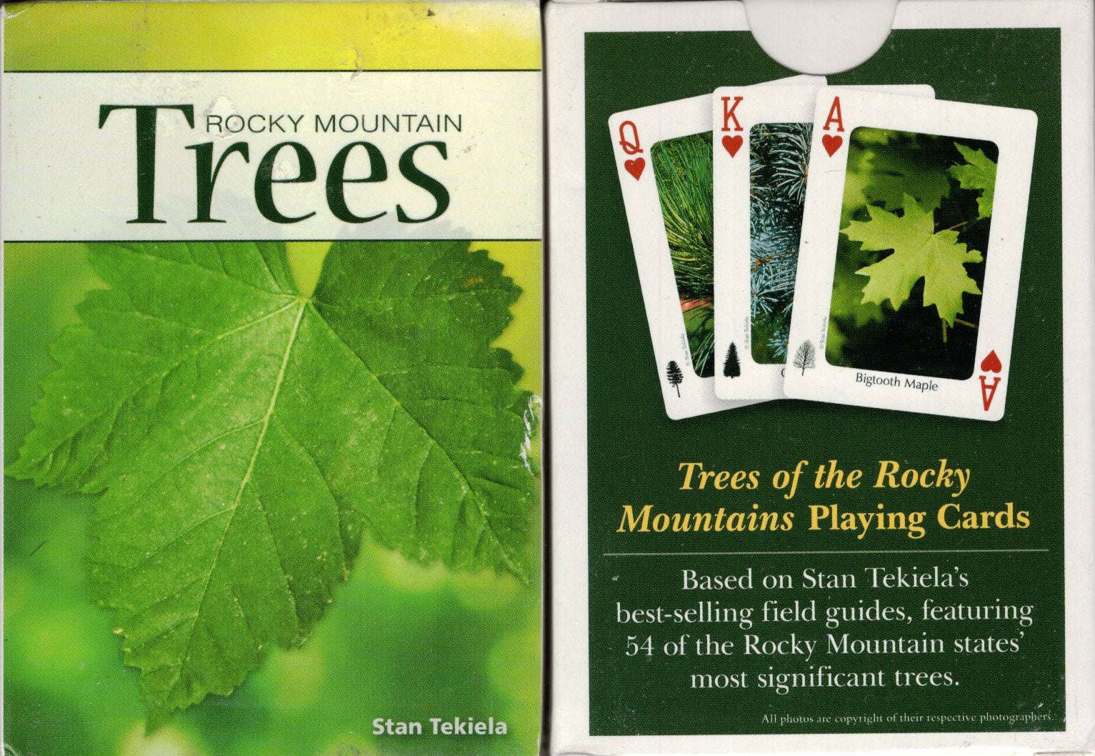Rocky Mountain Trees Playing Cards