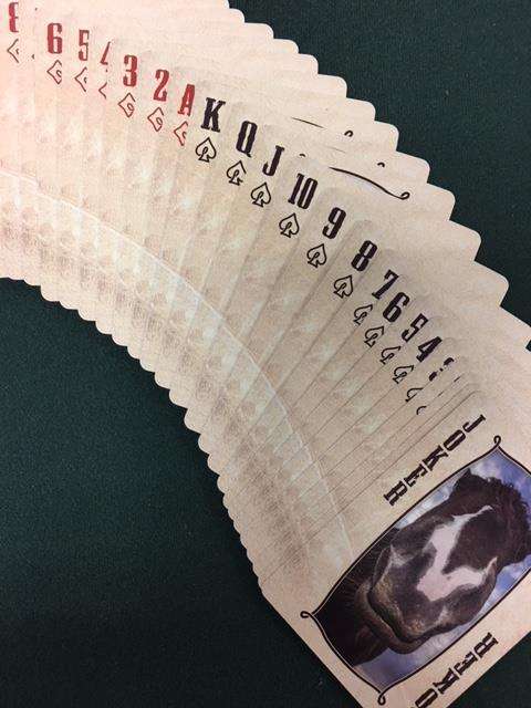 Rodeo Playing Cards USPCC - Image 4