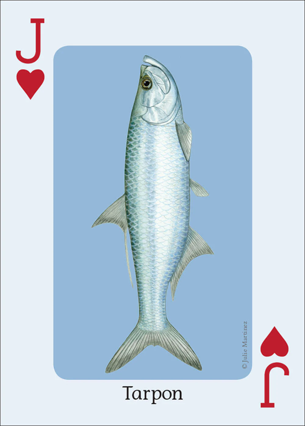 Saltwater Fish of the Gulf & Atlantic Playing Cards - Image 3