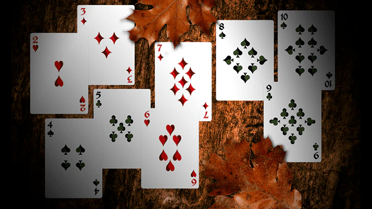 Secret Tale of Robin Hood Black Owl Playing Cards WJPC - Image 2