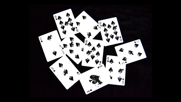 Shadows Playing Cards HCPC - Image 5