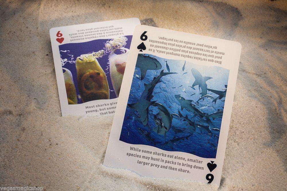 Sharks Bicycle Playing Cards Bilingual Box Edition - Image 5