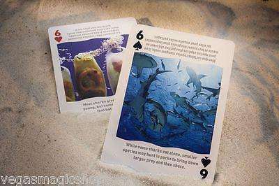 Sharks Bicycle Playing Cards - Image 3