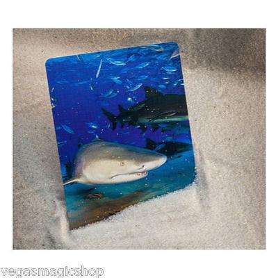 Sharks Bicycle Playing Cards - Image 5