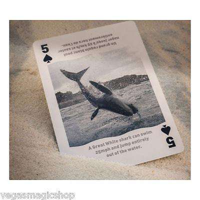 Sharks Bicycle Playing Cards - Image 6