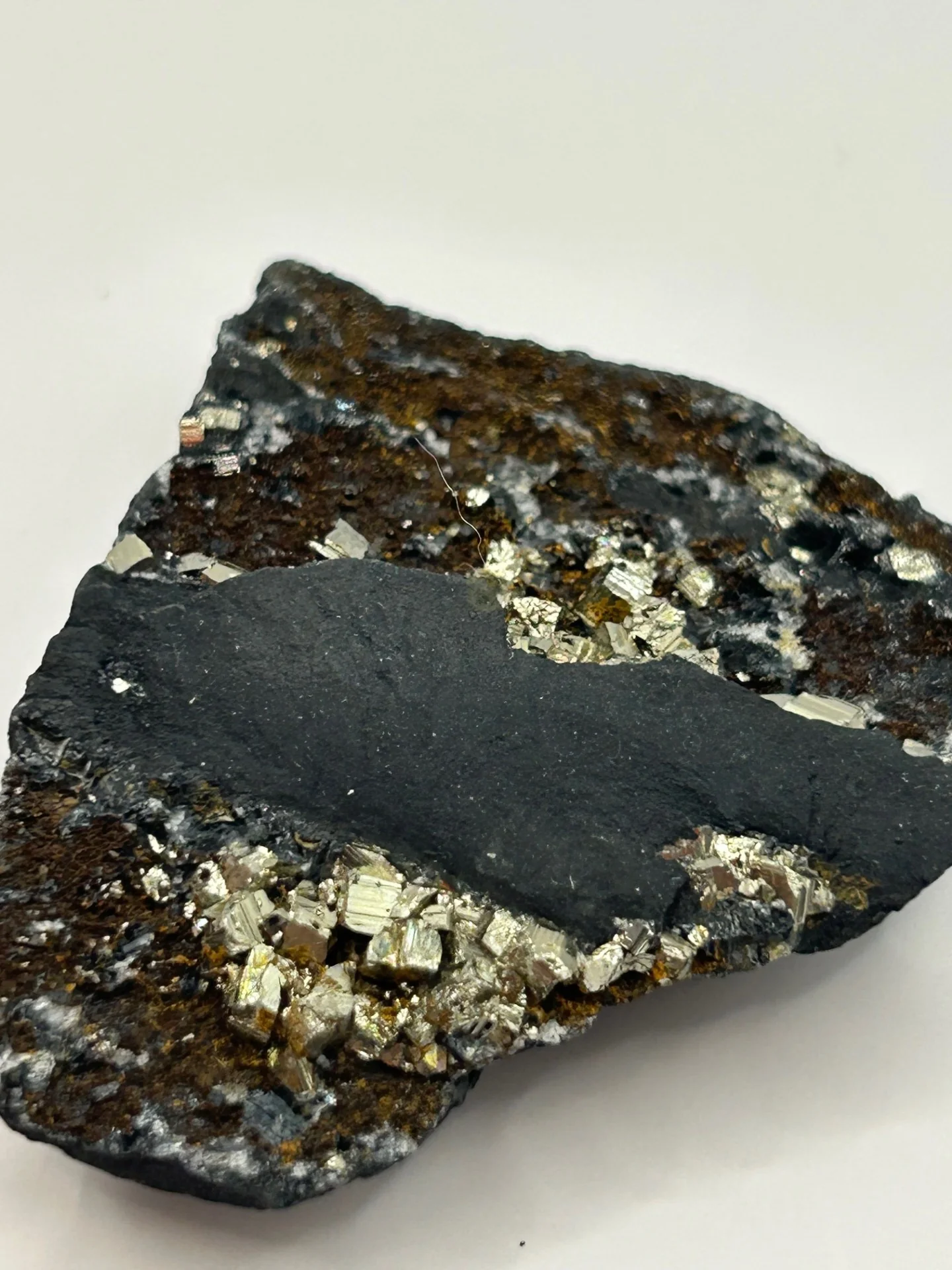 Shungite with Pyrite from Brazil - Image 2