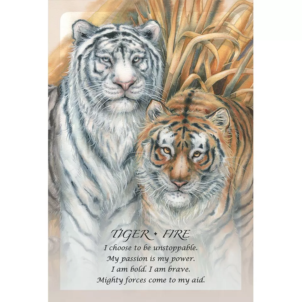 Spirit Of the Animals Oracle Cards - Image 3