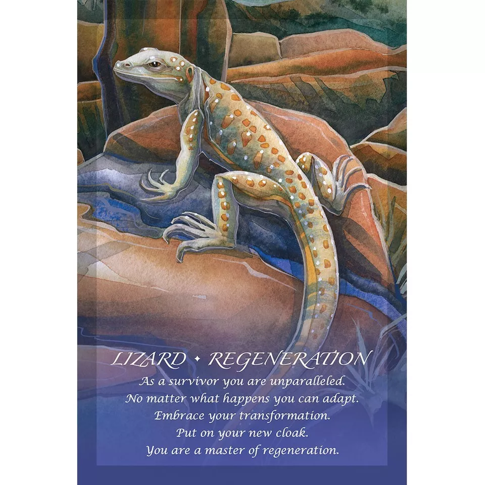 Spirit Of the Animals Oracle Cards - Image 7