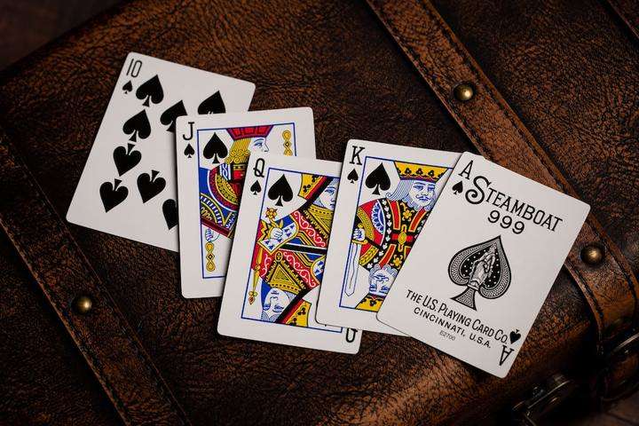 Steamboat Gilded 2 Deck Set USPCC - Image 3