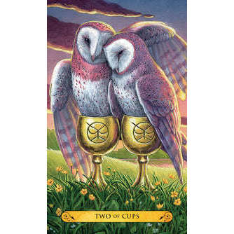 Tarot of the Owls Kit - Decks & Book Llewellyn - Image 5