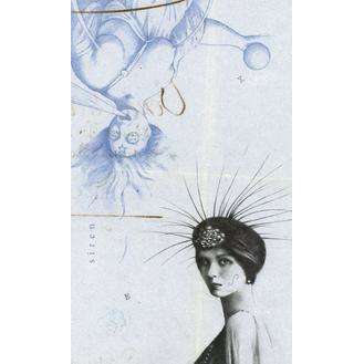 The Archeo - Personal Archetype Cards - Image 5