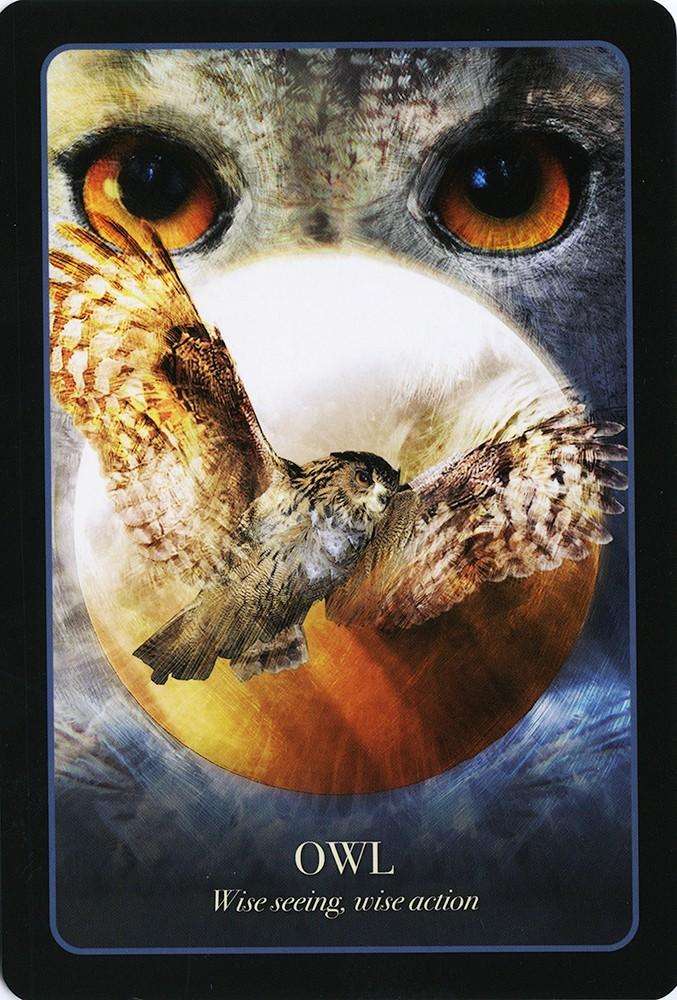 The Halloween Oracle Deck - Image 11