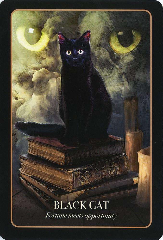 The Halloween Oracle Deck - Image 9