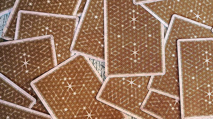 The Identity Deck Marked Playing Cards USPCC - Image 3
