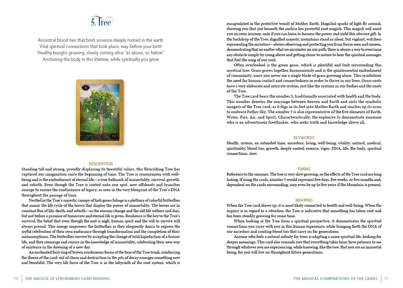 The Magick of Lenormand Card Reading - Image 6