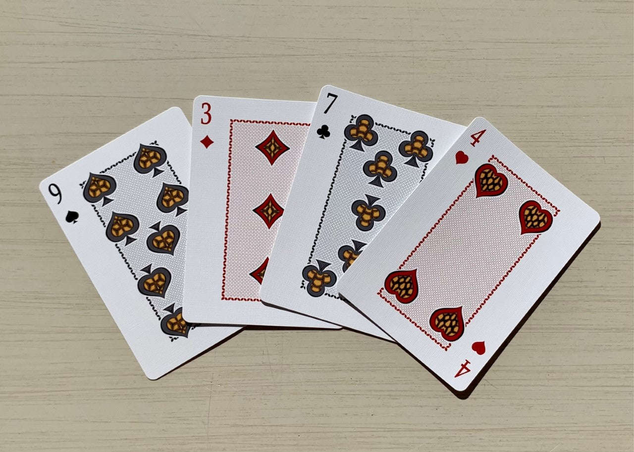 Turtle Bicycle Playing Cards - Image 12