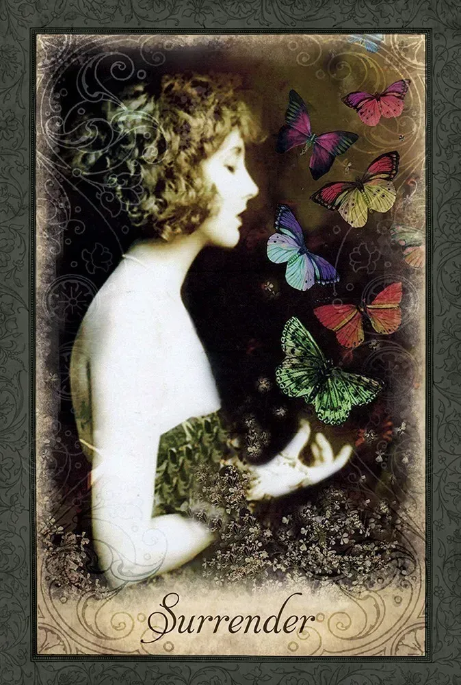 Vintage Wisdom Oracle Cards USGS - Image 8