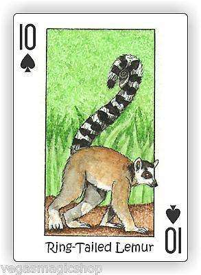 Wild Playing Cards Hidden Seek-N-Find Animals Deck - Image 5
