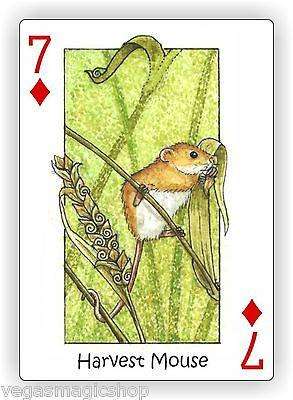 Wild Playing Cards Hidden Seek-N-Find Animals Deck - Image 6