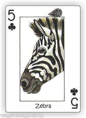 Wild Playing Cards Hidden Seek-N-Find Animals Deck - Image 7