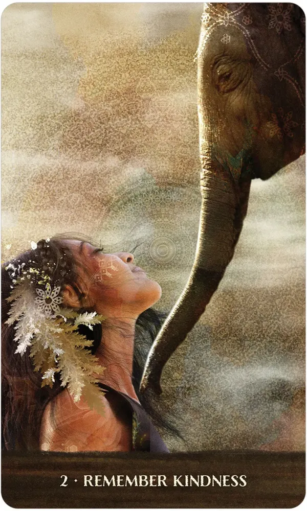 Wild Woman Rising Oracle Cards USGS - Image 3