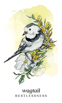 Winterseer Animal Oracle Cards Llewellyn - Image 4