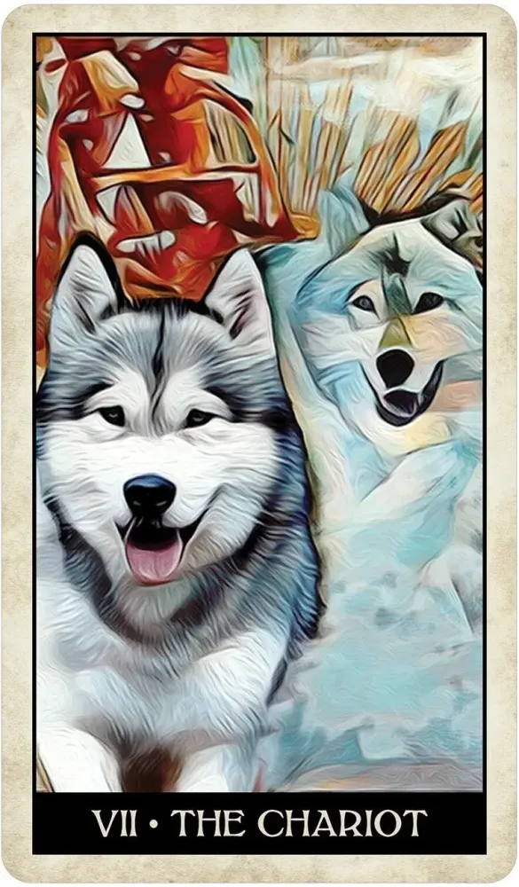 Wise Dog Tarot Deck USGS - Image 4