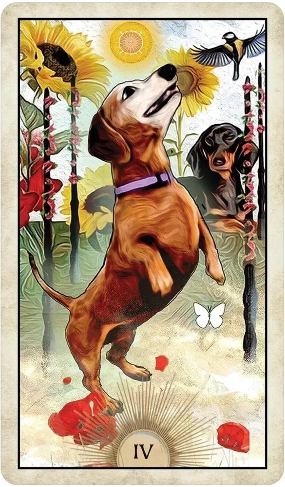 Wise Dog Tarot Deck USGS - Image 9